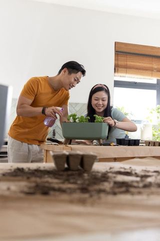 Asian couple tending indoor herb garden on kitchen table, misting seedlings, smiling