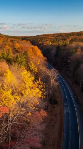 Vertical drone dawn survey over winding two-lane road through golden autumn forest