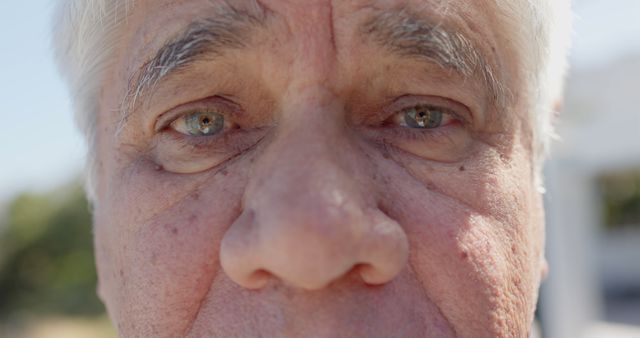 Portrait of eyes of caucasian senior man in sunny nature. Lifestyle, summer and vacation, unaltered.