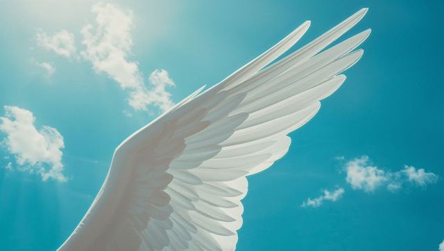 Heavenly white wing in sunlit blue sky