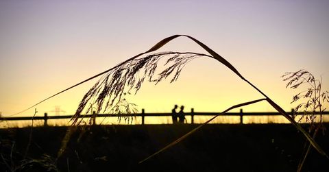 Silhouette of People Against Evening Sky near Grass