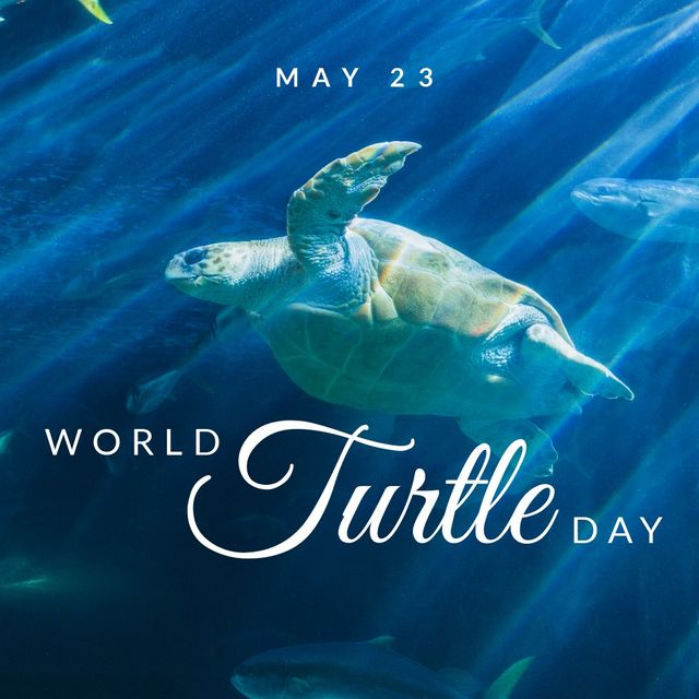 Composite image of world turtle day text with turtle swimming in background at aquarium, copy space. illustration, world turtle day, endangered, save turtle and social awareness.