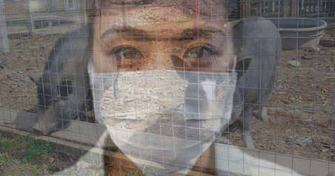 Digital Composite of Pandemic Precautions and Farm Life