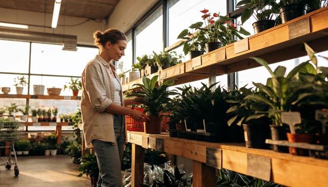Woman selecting potted houseplant with red basket in sunlit garden center