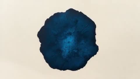 Timelapse Showing Dark Blue Ink Spreading and Drying on Paper with Crackle Texture