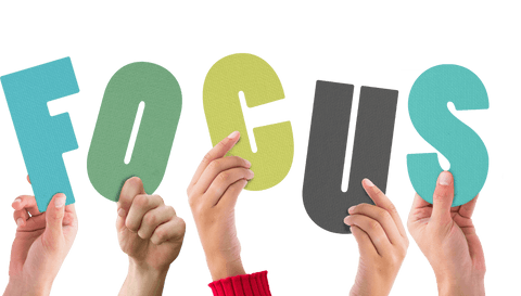 hands holding focus text on transparent background - Download Free Stock Videos Pikwizard.com