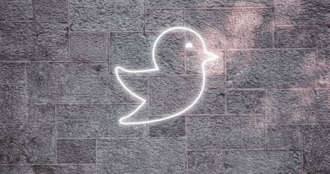 Glowing Neon Bird Icon on Brick Wall for Social Media - Download Free Stock Images Pikwizard.com