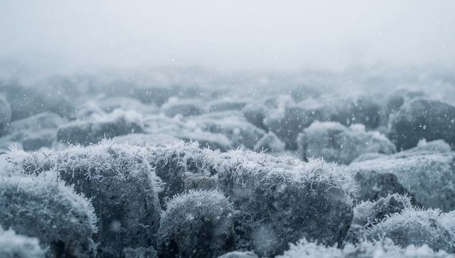 Hoarfrost coating mossy tundra hummocks, winter frost crystals glistening in mist