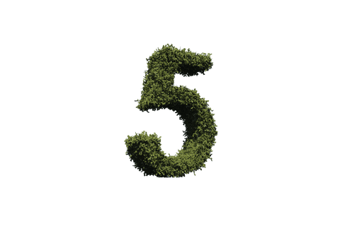 leafy number 5 illustration on transparent background for ecology themes - Download Free Stock Videos Pikwizard.com