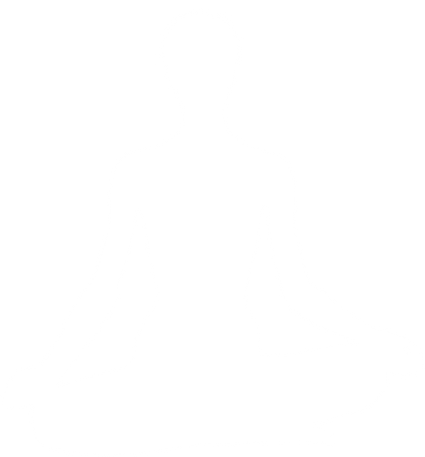 Silhouette of Woman Meditating in Lotus Pose on Transparent Background - Download Free Stock Videos Pikwizard.com