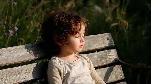 Preschooler resting on bench in sunlit meadow while camera is moving closer to serene profile