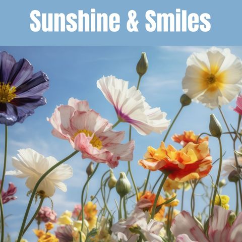 colorful blossoms under sunny skies inspiring joy - Download Free Stock Templates Pikwizard.com