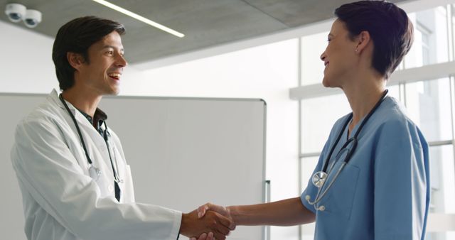 Healthcare Professionals Shaking Hands in Medical Facility - Download Free Stock Images Pikwizard.com