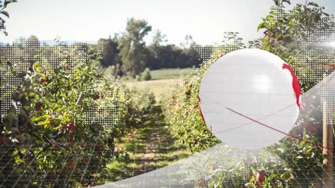 Global Network Visualization over Orchard Integrating Technology