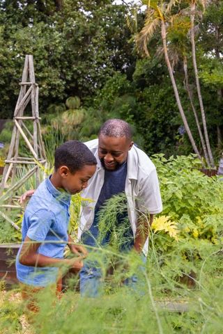 African american father teaching son vegetable gardening in backyard raised beds and herb garden