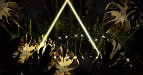 Luxurious Gold Leaves and Festive Fireworks on Black
