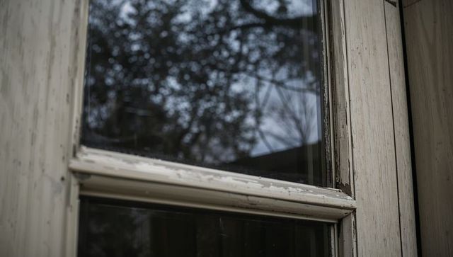 Weathered wooden window frame showing peeling paint and glass reflecting tree silhouettes