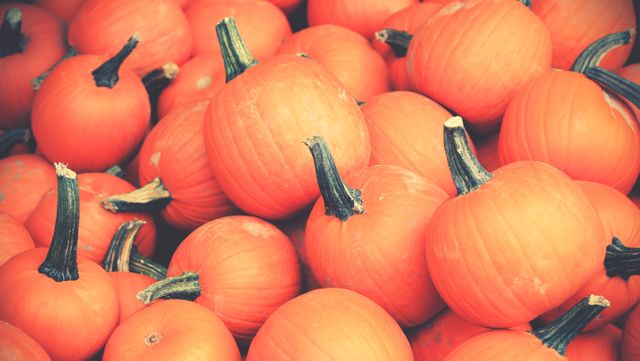 Perfect for illustrating fall and harvest themes, this image of orange pumpkins can be used for seasonal promotions, advertisements for autumn-themed events, or as a background for recipes involving pumpkins.