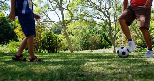 Family Soccer Playtime in Sunny Park Scene - Download Free Stock Images Pikwizard.com