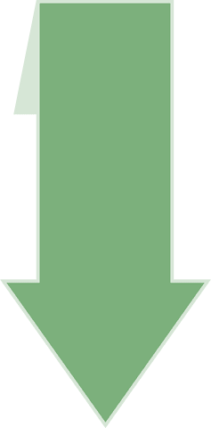 green arrow vector isolated on transparent background - Download Free Stock Videos Pikwizard.com