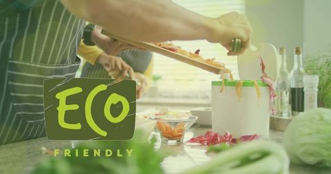 Eco-Friendly Cooking Preparing Organic Meal in Cozy Home Kitchen