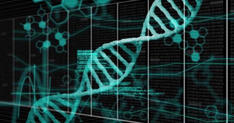 DNA Strand Overlaying Digital Data and Grid Framework - Download Free Stock Images Pikwizard.com