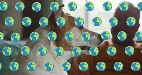 Dog Portrait with Global Ecology Overlay Illustrating Digital Interface
