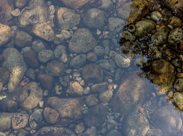 A tranquil image showing the rocky riverbed of a clear water stream with the reflection of the sky and trees at the right. Useful for environmental themes, nature blogs, relaxation or meditation content, and outdoor adventure websites.