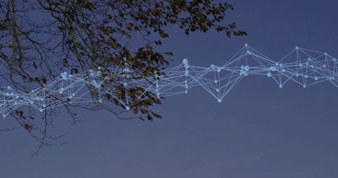 Translucent Wireframe Network over Twilight Sky and Tree Branch