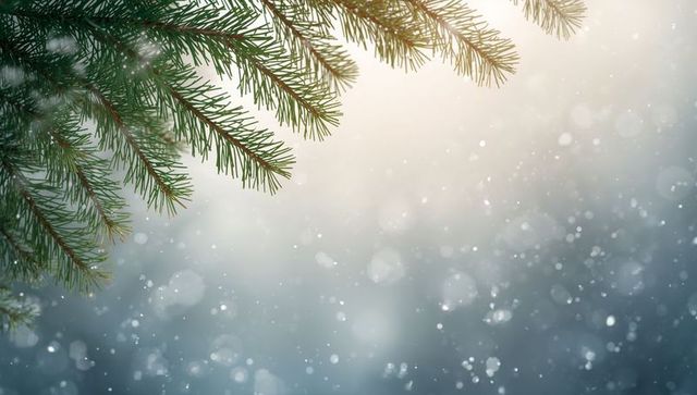Snow-dusted evergreen branches with soft bokeh winter background and ample copy space