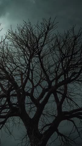 Vertical video of bare leafless tree silhouette under stormy overcast sky cinematic mood