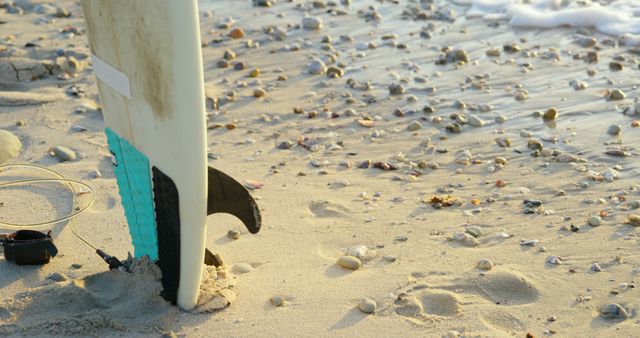 Surfboard with leash standing in sand on the beach. Waves on seashore at beach 4k