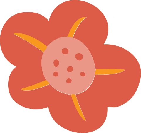 Flat Orange Flower with Transparent Background and Botanic Detail - Download Free Stock Videos Pikwizard.com