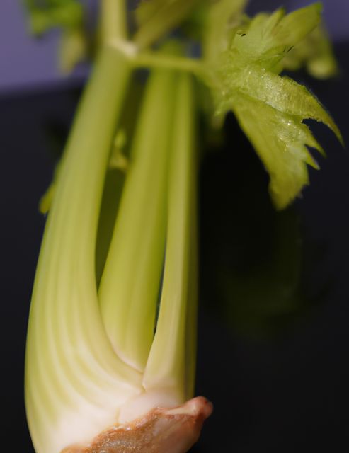 Close up of green celery over black background created using generative ai technology. Nature and food concept, digitally generated image.