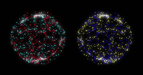Digital spheres representing global data networks and connectivity