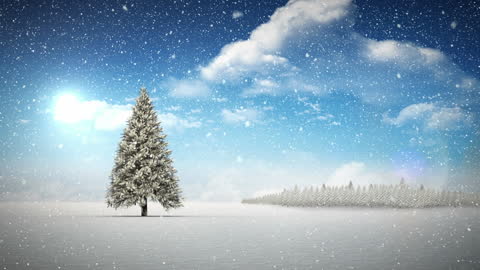 Serene Snowfall Over Winter Pine Tree