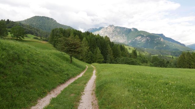 Peaceful countryside path winding through a lush green meadow with mountains in the background. Ideal for use in nature travel promotions, relaxation and wellness visuals, and outdoor adventure advertising.