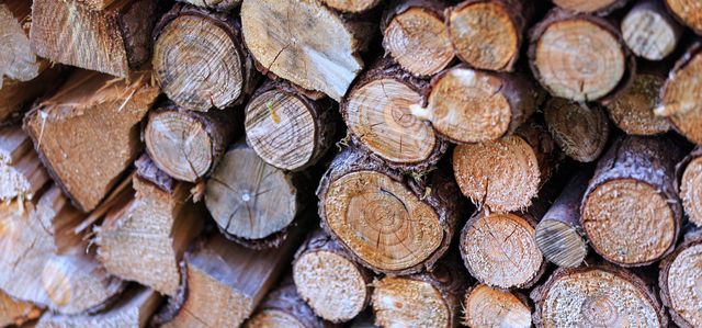 Stacked wooden logs forming a robust pattern showing natural lumber. The closeup reveals circular tree rings and a variety of wood textures, making it suitable for use in articles on forestry, natural materials, woodworking, or rustic decor. Great for promoting eco-friendly products or illustrating nature-related content.