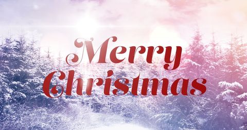 Scenic Winter Landscape with Merry Christmas Text Overlay - Download Free Stock Images Pikwizard.com