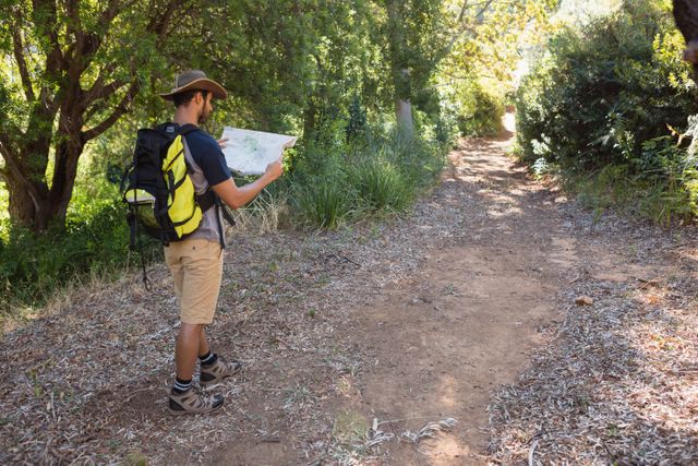 Man reading the map while walking in the forest on a sunny day