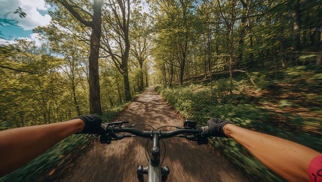 Riding mountain bike through sunlit forest trail, gripping handlebars, motion blur perspective