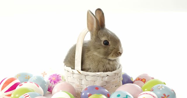Adorable scene featuring a bunny sitting in a white woven basket surrounded by a variety of colorful Easter eggs. Perfect for promoting Easter and spring-themed events, decorations, greeting cards, holiday marketing, and children's activities. Suitable for ads, posters, and social media content focusing on festive and cheerful seasonal imagery.