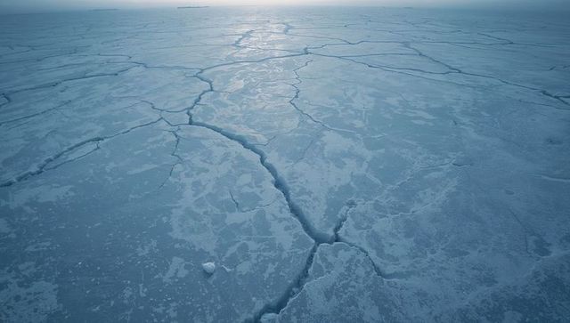 Cracked arctic sea ice field with branching fissures and pale sunlight on horizon