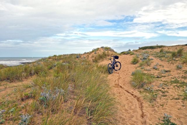 Mountain bike on sandy trail through beach dunes near ocean - Download Free Stock Photos Pikwizard.com
