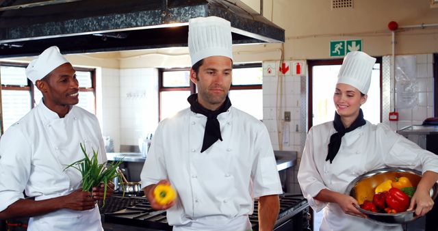 Professional Chefs Preparing Fresh Vegetables in Commercial Kitchen - Download Free Stock Images Pikwizard.com