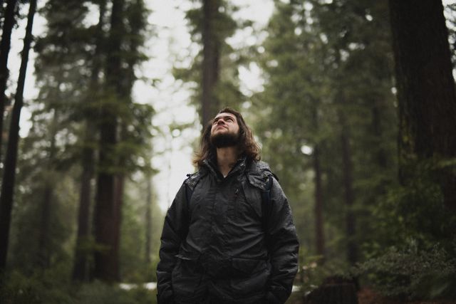 Individual with beard surrounded by tall trees in dense forest wearing dark jacket, looking up contemplatively. Ideal for depicting outdoor adventures, nature appreciation, solitude, peacefulness, and wilderness exploration.