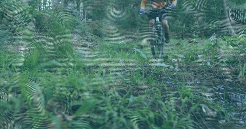 Mountain biker navigating forest trail