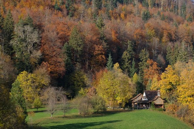 Scenic view of a cozy cabin nestled among vibrant autumn foliage in a dense forest. Ideal for use in nature magazines, travel blogs, wallpapers, or promotional materials for countryside retreats emphasizing tranquility and escape from urban life.