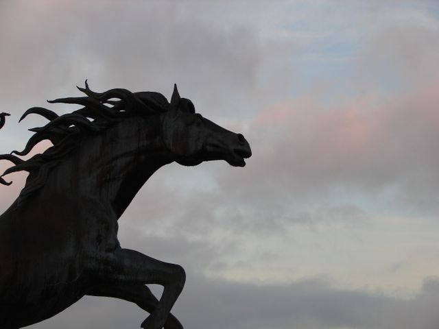 Silhouette of a horse statue captured against a cloudy sky during dusk. The dramatic outline of the horse against the subtle colors of the sky creates a striking visual. Use this image for backgrounds, artistic projects, or in themes related to power, freedom, and majesty.