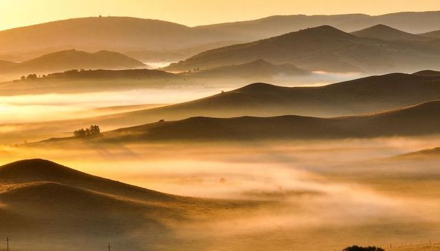 Golden Morning Mist Rolling Over Grassy Hills and Gentle Ridges in Pastoral Valley
